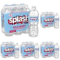 Splash Blast Water, Wild Berry, 16.9 Fl Oz | 30 Pack | Plastic Bottle